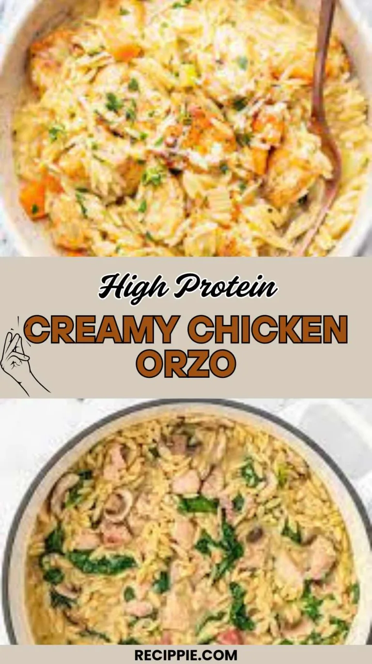 High Protein Creamy Chicken Orzo Recipe